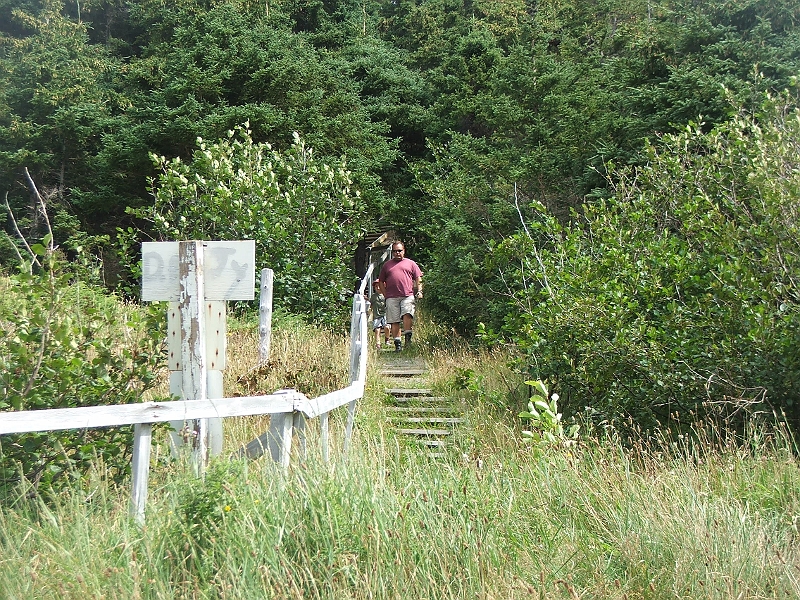 NFLD_drive_to_and-viking_settlement 651.jpg - how many steps were there?  500???